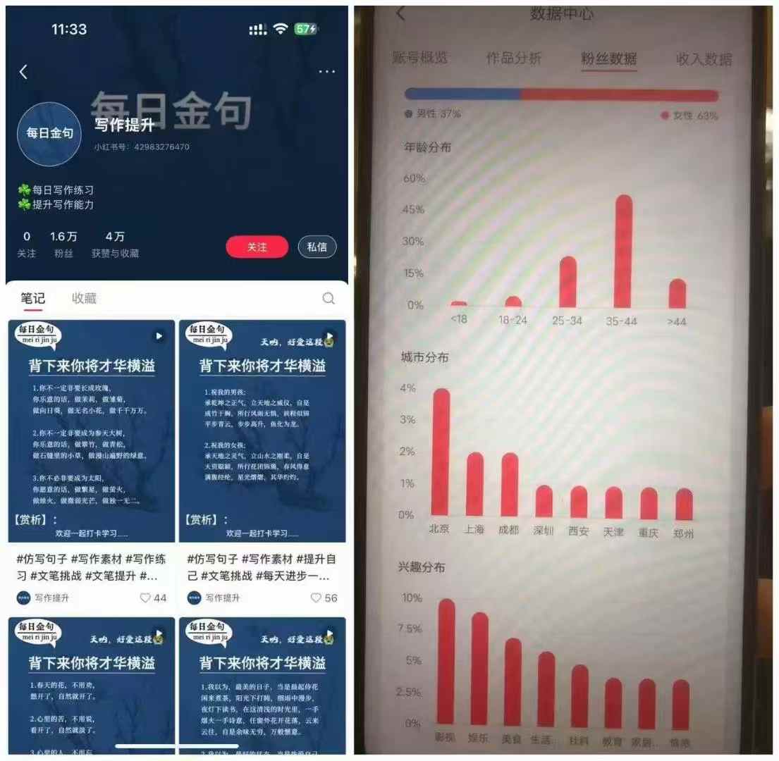 频道号单