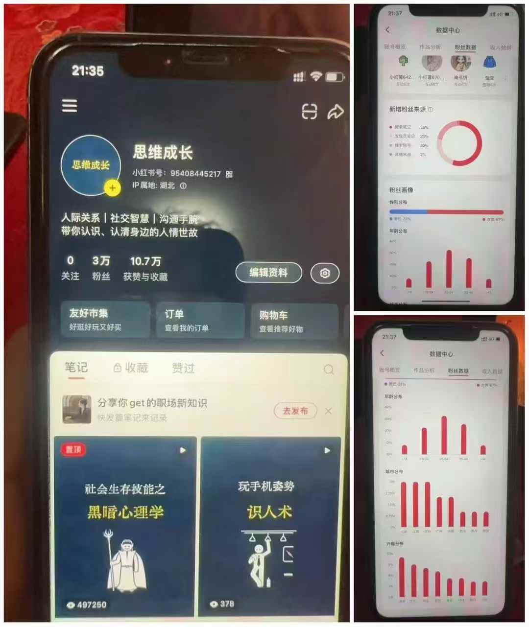 频道号单